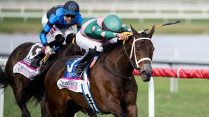 Be Your Best, Beverly D. Stakes Saturday, Colonial Downs, America's Best Racing, horse racing, ABR 